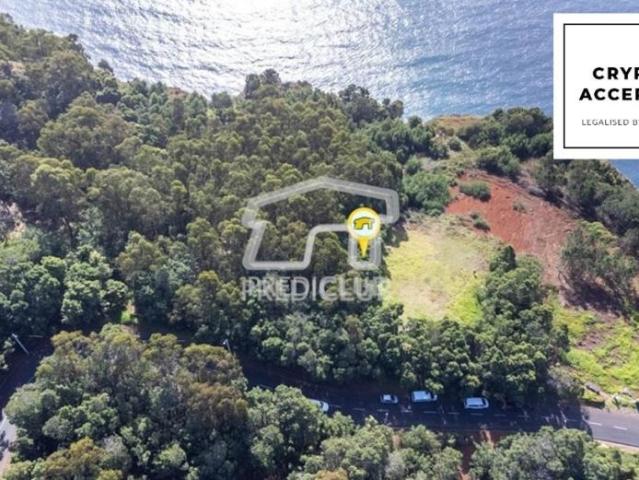 Terreno venda em Câmara De Lobos