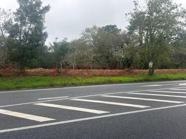 Terreno venda em Caminha (Matriz) e Vilarelho, Arga De Baixo
