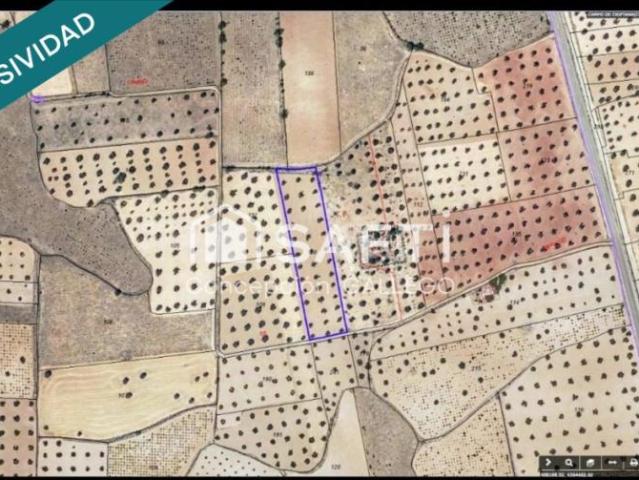 Terreno en venta en Campo De Criptana, Castilla-La Mancha