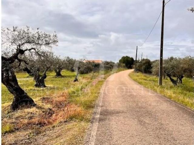 Terreno venda em Campo Maior Terreno venda em Campo Maior