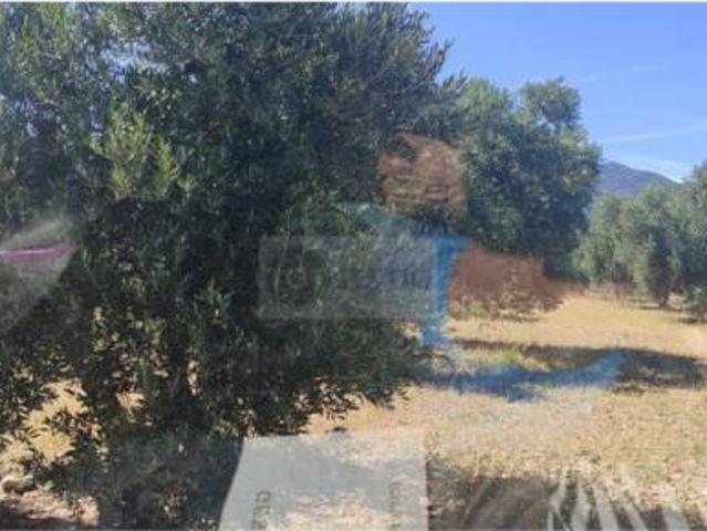 Terreno en venta en Cantallops, Girona