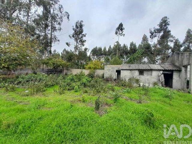 Terreno venda em Cantanhede, Coimbra
