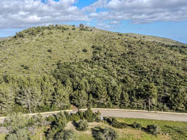 Terreno en venta en Canyamel, Llevant