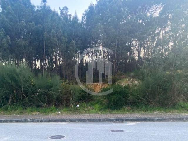 Terreno venda em Carregal Do Sal, Viseu
