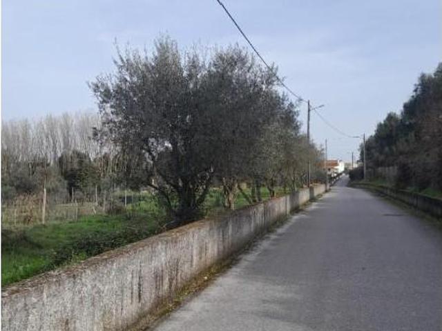 Terreno venda em Carregal Do Sal, Viseu