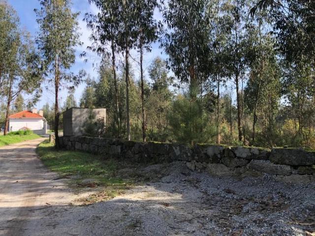 Terreno venda em Carregal Do Sal, Viseu