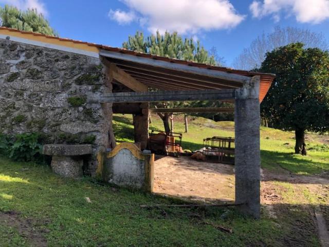 Terreno venda em Carregal Do Sal, Viseu
