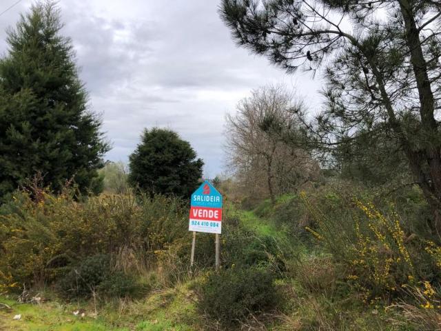 Terreno venda em Carregal Do Sal, Viseu