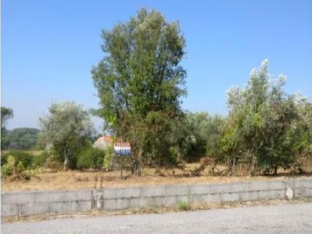 Terreno venda em Carregal Do Sal, Viseu