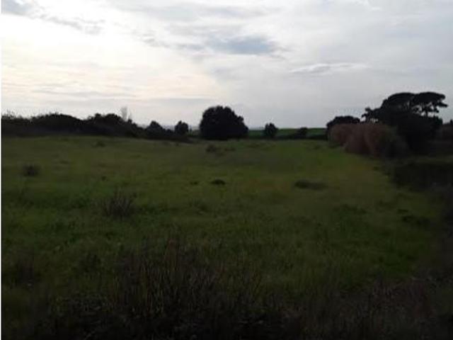 Terreno venda em Cartaxo e Vale da Pinta, Cartaxo