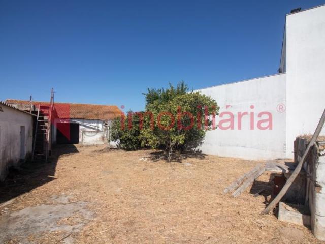 Terreno venda em Cartaxo e Vale da Pinta, Cartaxo