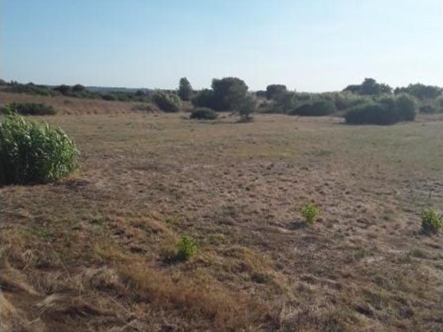 Terreno venda em Cartaxo e Vale da Pinta, Cartaxo
