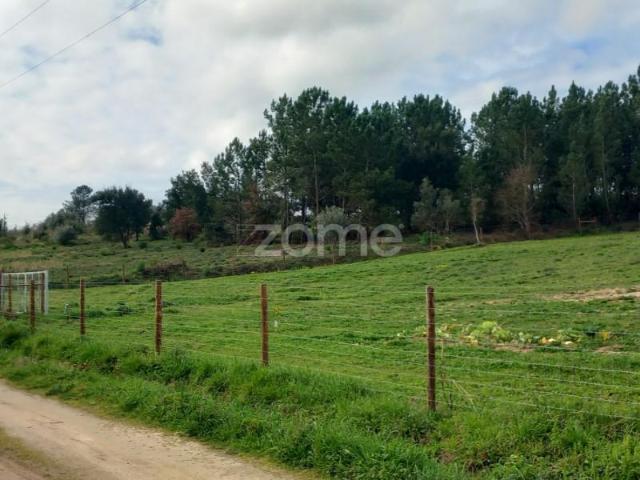 Terreno venda em Cartaxo e Vale da Pinta, Cartaxo