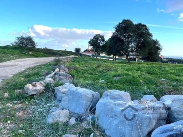 Terreno venda em Alcabideche, Cascais