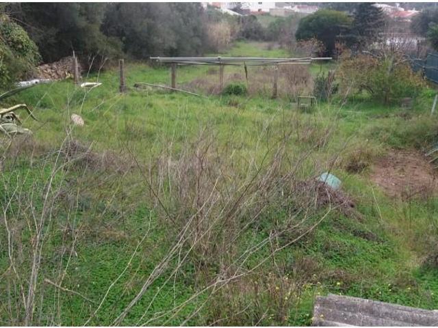 Terreno venda em Manique de Baixo, Cascais