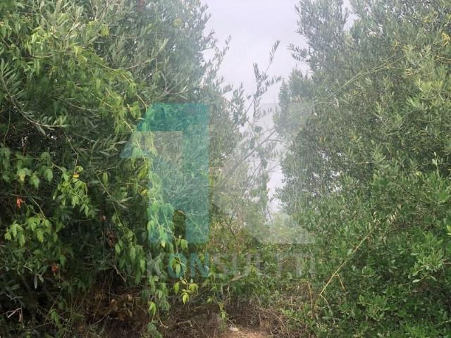 Terreno venda em Cascais, Lisboa