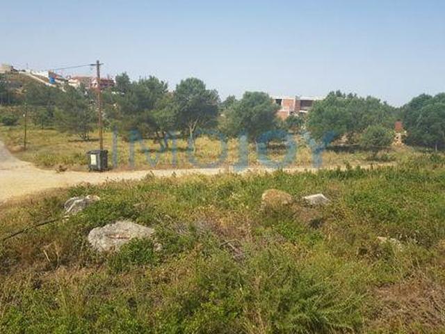 Terreno venda em Cabeço de Bicesse, Cascais