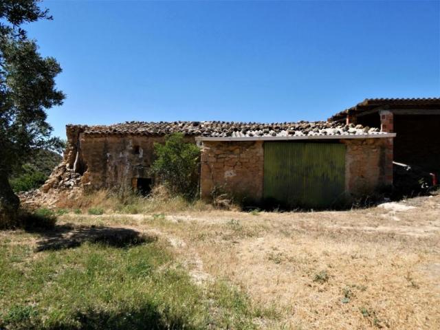 Terreno en venta en Bajo Aragón-Caspe / Baix Aragó-Casp, Aragón