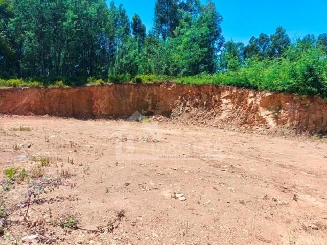 Terreno venda em Castanheira De Pêra, Leiria