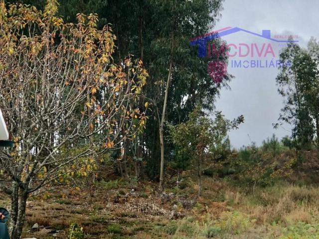 Terreno venda em Castanheira De Pêra, Leiria
