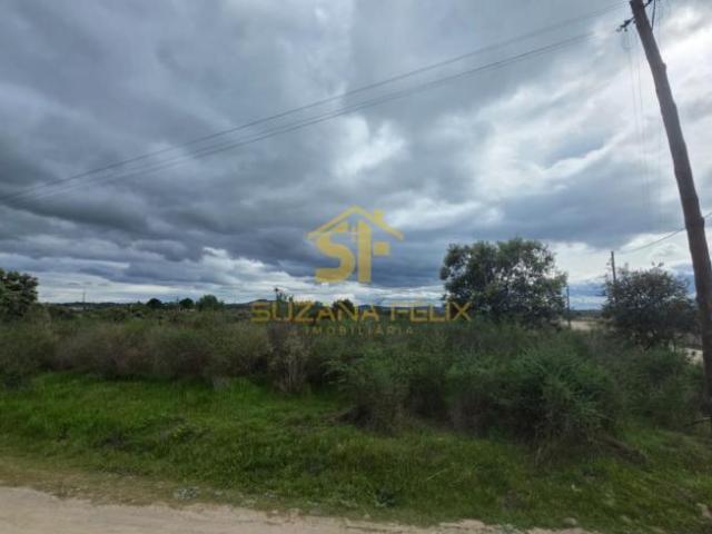 Terreno venda em Castelo Branco