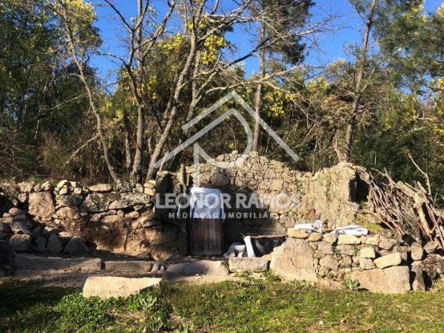 Terreno venda em Castelo Branco