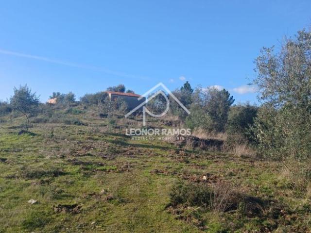 Terreno venda em Castelo Branco