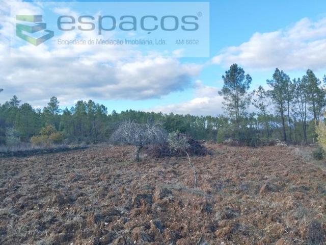 Terreno venda em Castelo Branco