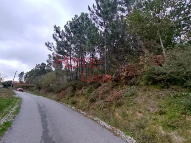 Terreno venda em Castro Daire, Viseu