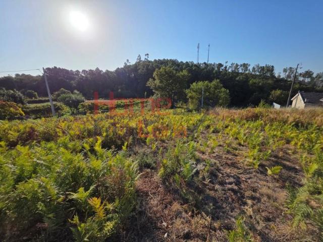Terreno venda em Castro Daire, Viseu