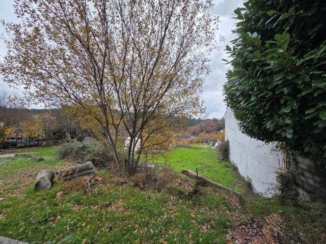 Terreno venda em Castro Daire, Viseu