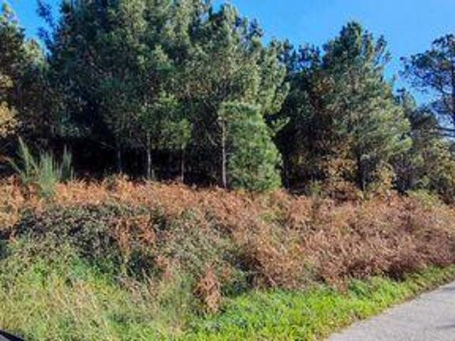 Terreno venda em Castro Daire, Viseu