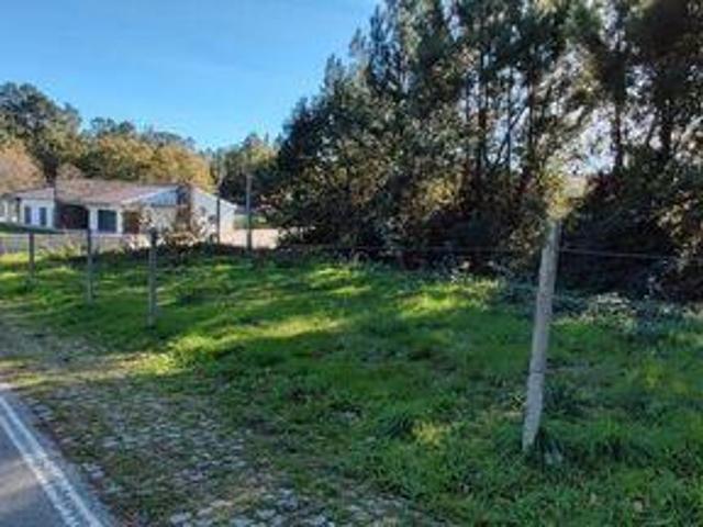 Terreno venda em Castro Daire, Viseu