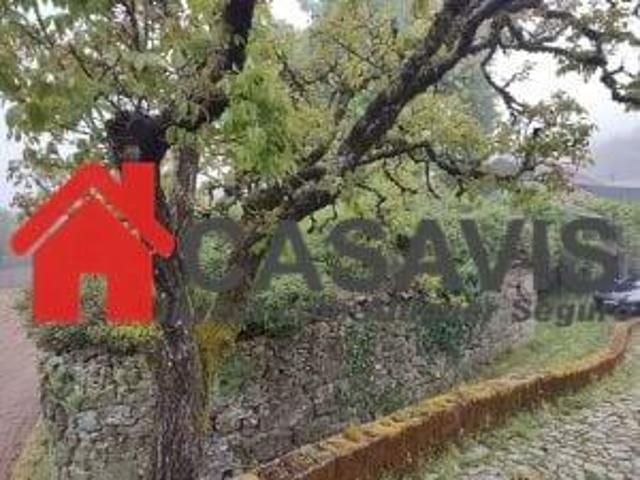 Terreno venda em Castro Daire, Viseu