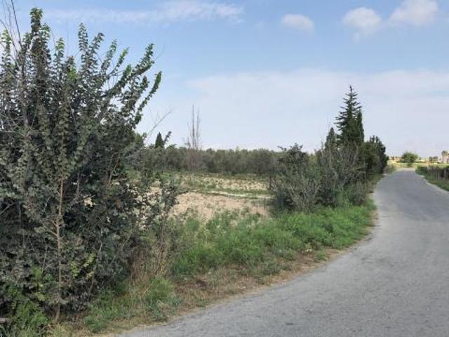 Terreno en venta en el Baix Segura / La Vega Baja, Valencia