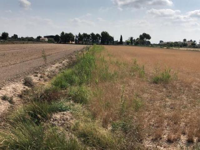 Terreno en venta en el Baix Segura / La Vega Baja, Valencia
