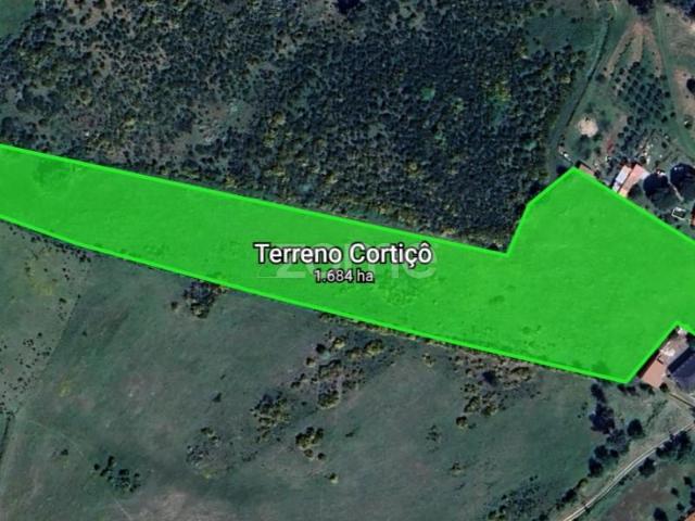 Terreno venda em Guarda, Celorico Da Beira
