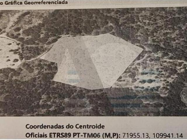 Terreno venda em Guarda, Celorico Da Beira