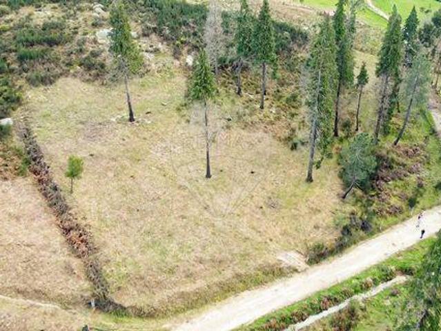 Terreno venda em Celorico De Basto, Braga