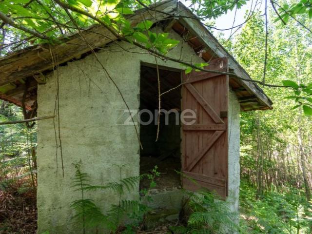 Terreno venda em Celorico De Basto, Braga