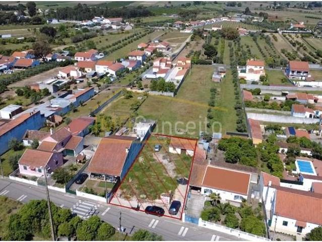 Terreno venda em Chamusca, Carregueira