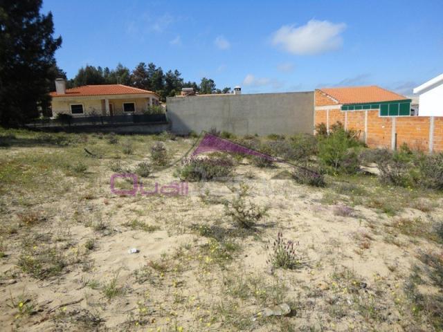 Terreno venda em Chamusca