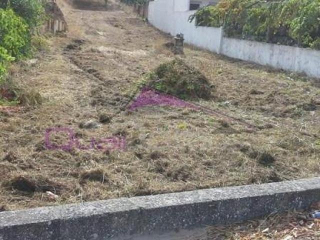 Terreno venda em Chamusca e Pinheiro Grande, Chamusca