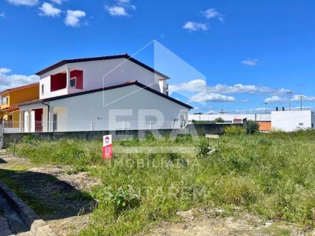 Terreno venda em Chamusca