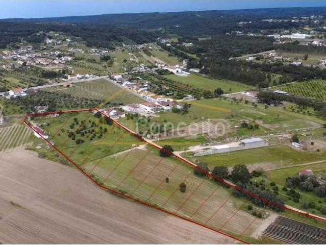 Terreno venda em Chamusca, Carregueira