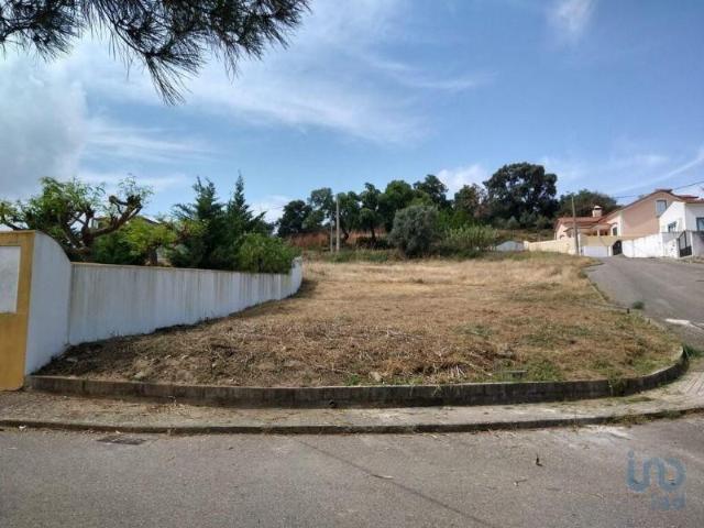 Terreno venda em Chamusca