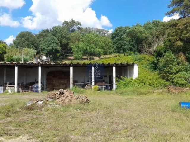 Terreno venda em Chamusca