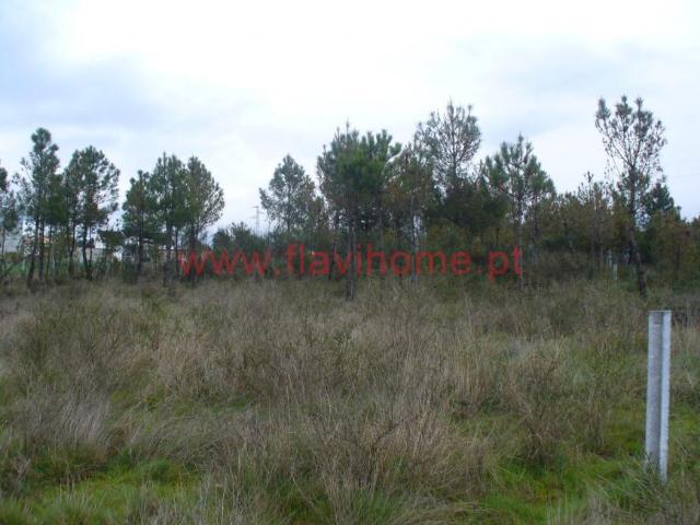 Terreno venda em Chaves, Vila Real