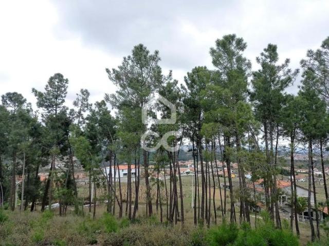 Terreno venda em Chaves, Vila Real
