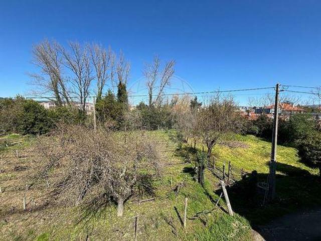 Terreno venda em Alto da Forca, Chaves
